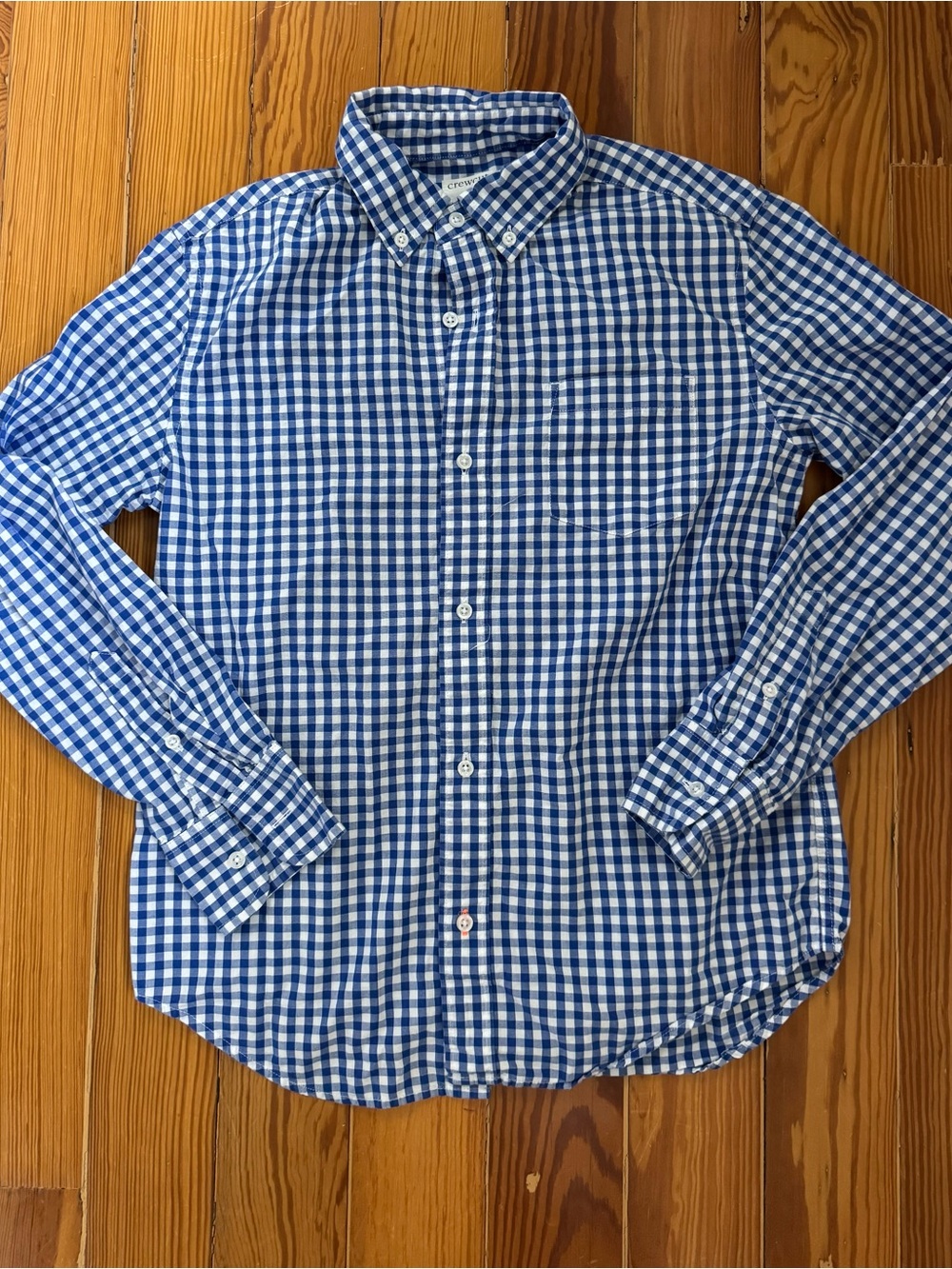 Crewcuts Blue Gingham Button-Down Shirt